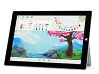 亭湖Surface 无法开启、Windows 无法启动或电池无法充电