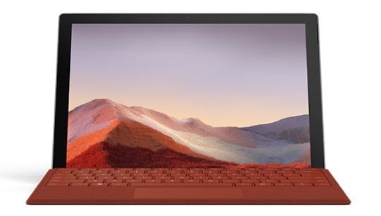 亭湖清洁和维护 Surface